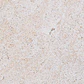 Arimar · Arrimo en piedra de 120 cm - Miniatura 9