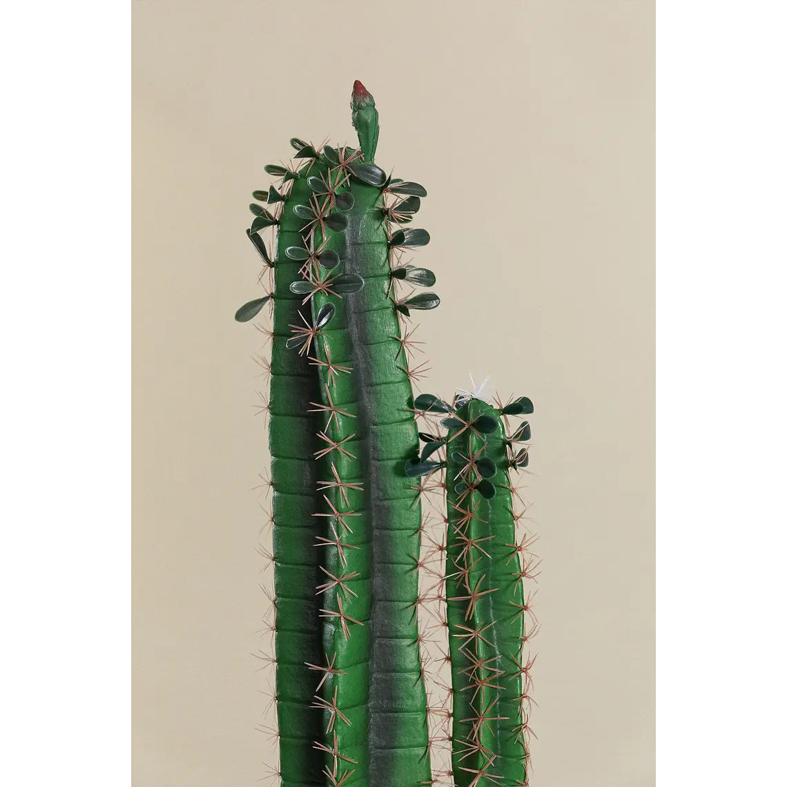 Cactus artificial decorativo 155 cm Cereus Fina 5