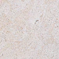 Consola de exterior en cemento look travertino Norina - Miniatura 8