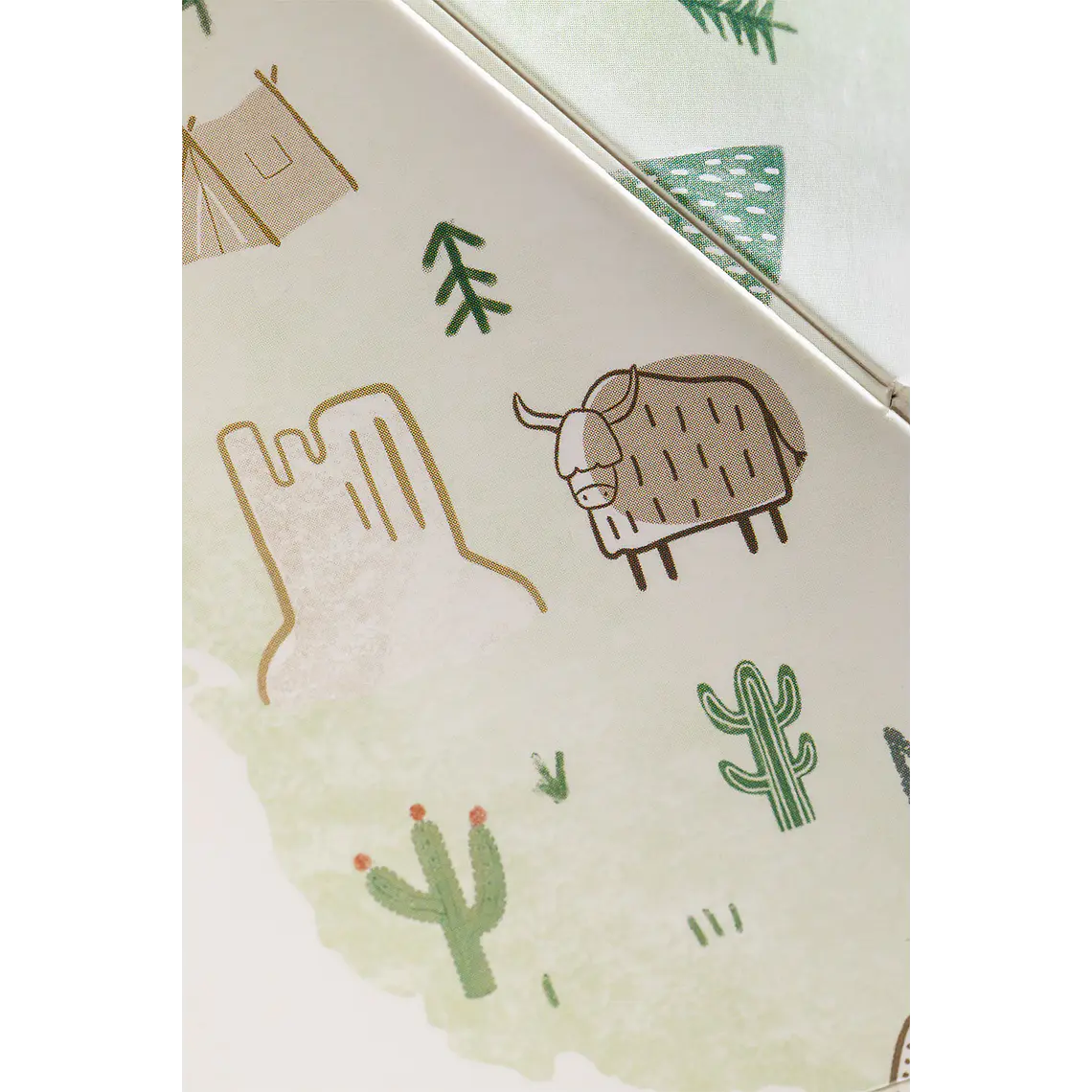 Myreva · Mapamundi infantil 5
