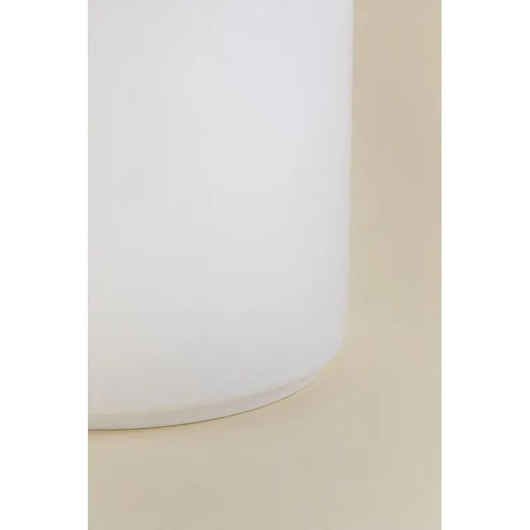 Papelera con tapa 6