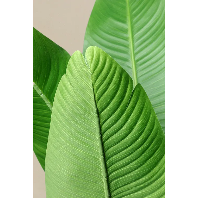 Planta artificial 160 cm decorativa Bananera Carmia 3