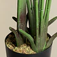 Planta artificial 160 cm decorativa Bananera Carmia - Miniatura 4