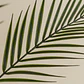 Planta artificial decorativa 110 cm palmera Pigmea Kena - Miniatura 3