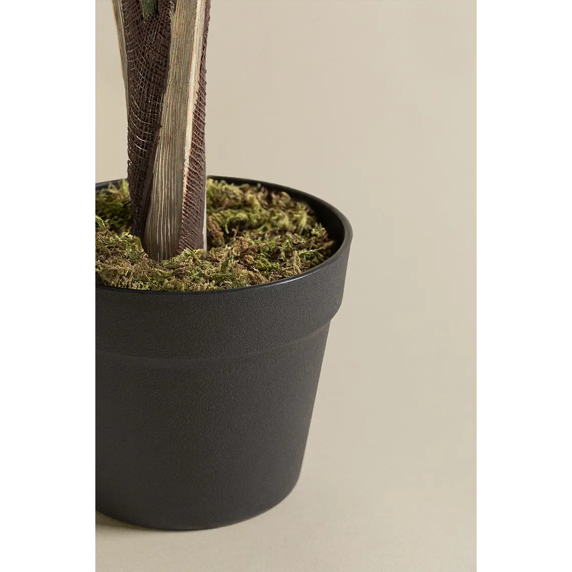 Planta artificial decorativa 110 cm palmera Pigmea Kena 4