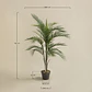 Planta artificial decorativa 110 cm palmera Pigmea Kena - Miniatura 5