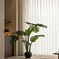 Planta artificial decorativa 120 cm Monstera Jora - Miniatura 1