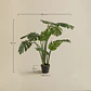 Planta artificial decorativa 120 cm Monstera Jora - Miniatura 6