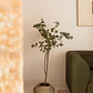 Planta artificial decorativa 130 cm Eucalyptus Arelia - Miniatura 1