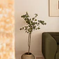 Planta artificial decorativa 130 cm Eucalyptus Arelia - Miniatura 2