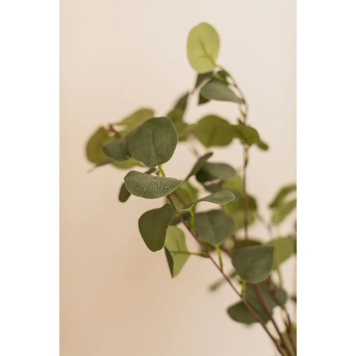 Planta artificial decorativa 130 cm Eucalyptus Arelia 3