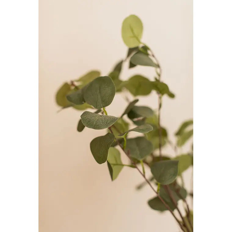 Planta artificial decorativa 130 cm Eucalyptus Arelia 3