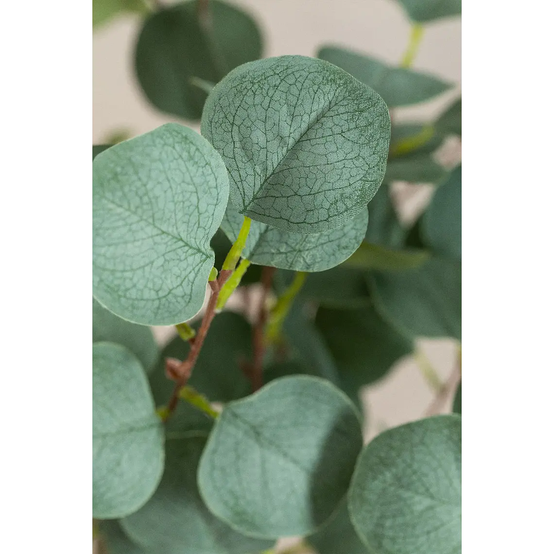 Planta artificial decorativa 130 cm Eucalyptus Arelia 6