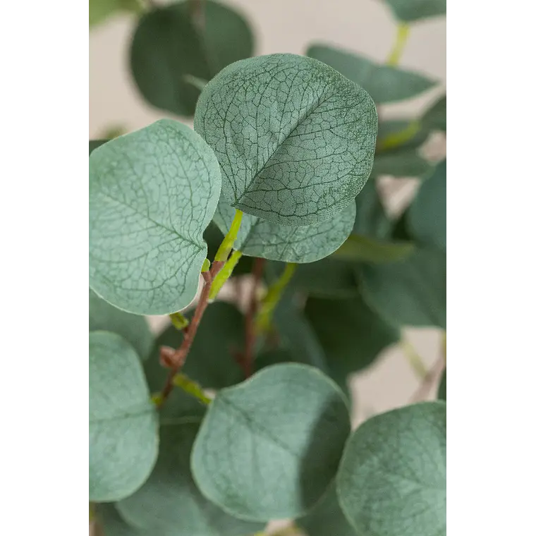 Planta artificial decorativa 130 cm Eucalyptus Arelia 6