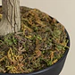 Planta artificial decorativa 130 cm Eucalyptus Arelia - Miniatura 7