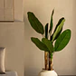 Planta artificial decorativa 140 cm Bananera Greia - Miniatura 2
