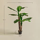 Planta artificial decorativa 140 cm Bananera Greia - Miniatura 6