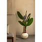 Planta artificial decorativa 140 cm Bananera Greia - Miniatura 7