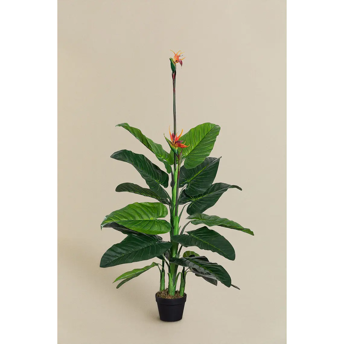 Planta artificial decorativa 150 cm Ave del Paraíso Elma 2