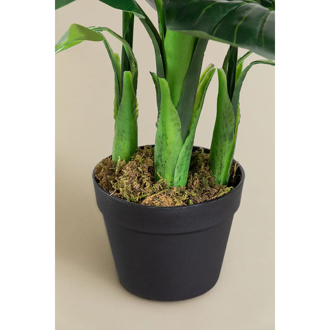 Planta artificial decorativa 150 cm Ave del Paraíso Elma 4