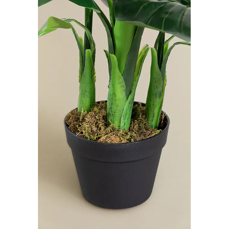 Planta artificial decorativa 150 cm Ave del Paraíso Elma 4