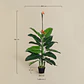 Planta artificial decorativa 150 cm Ave del Paraíso Elma - Miniatura 5