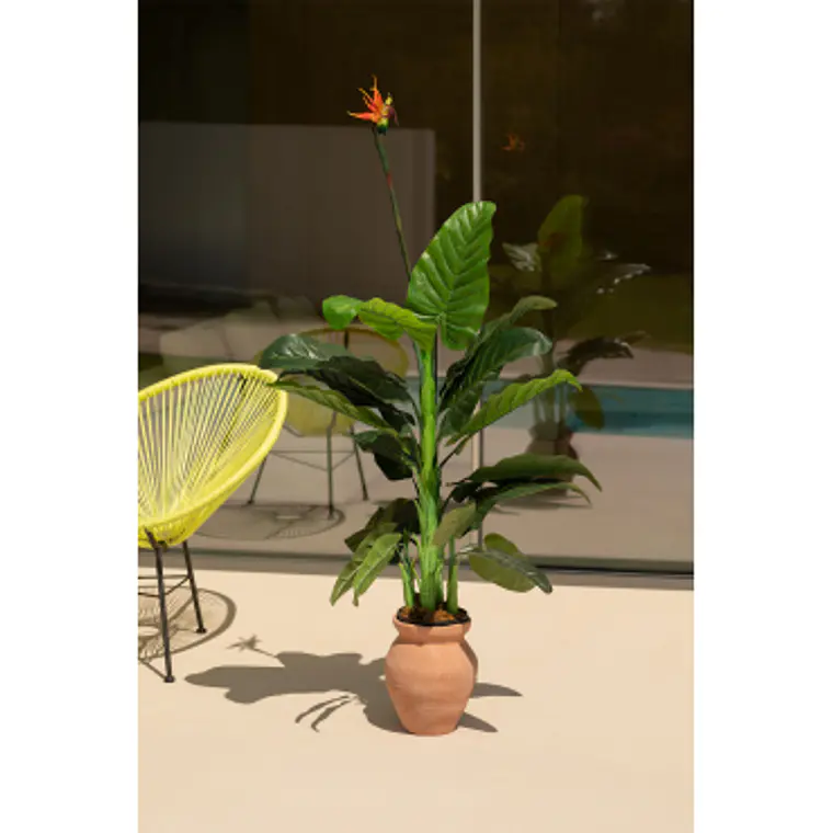 Planta artificial decorativa 150 cm Ave del Paraíso Elma 6