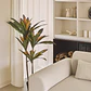 Planta artificial decorativa Dracaena Halma - Miniatura 2