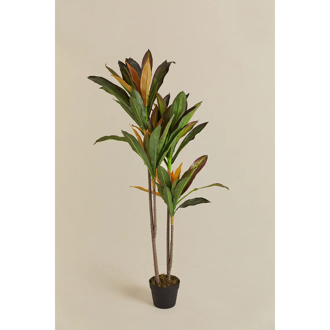 Planta artificial decorativa Dracaena Halma 3