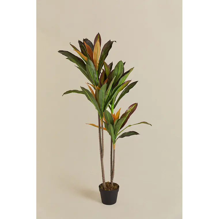 Planta artificial decorativa Dracaena Halma 3