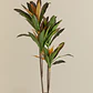 Planta artificial decorativa Dracaena Halma - Miniatura 3