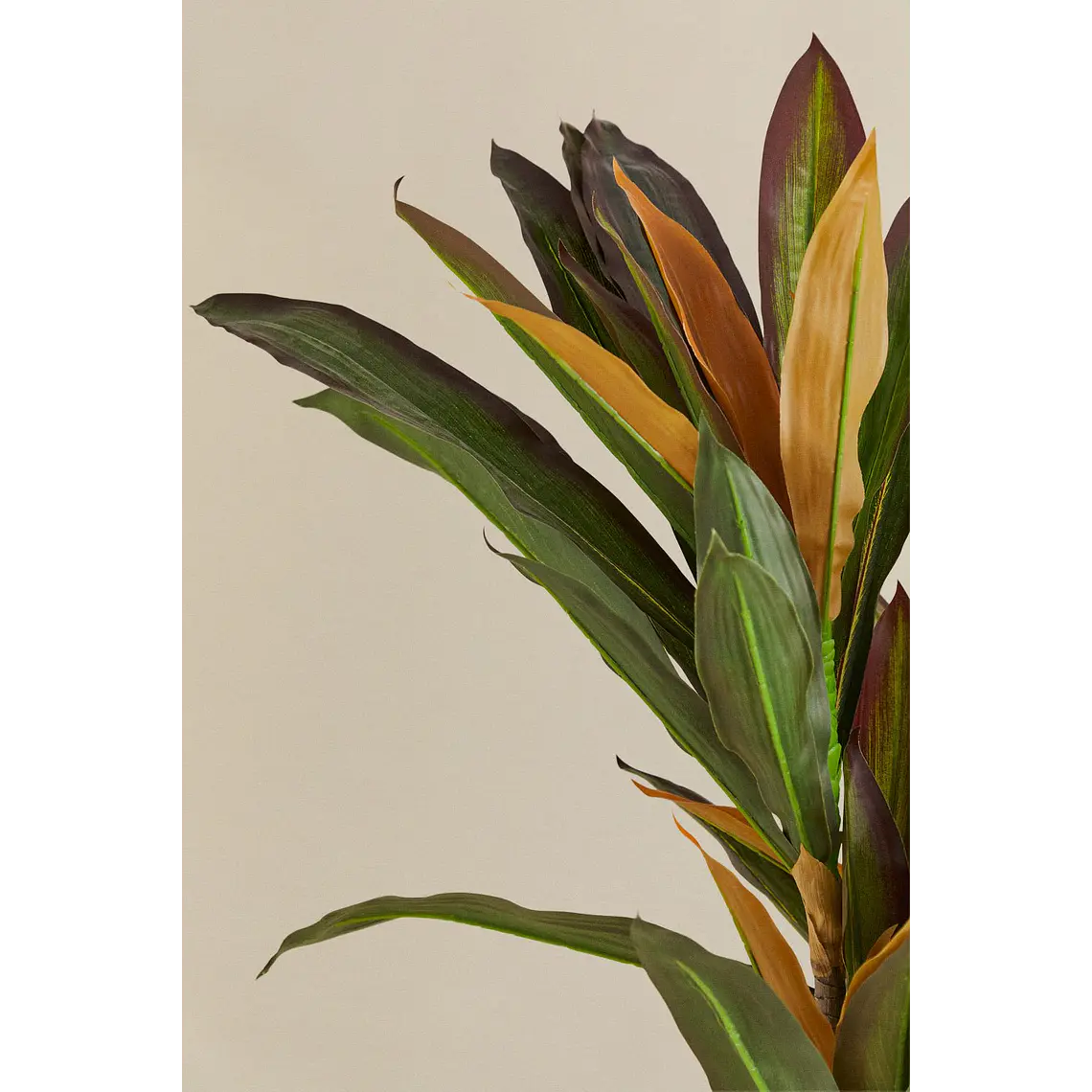 Planta artificial decorativa Dracaena Halma 4