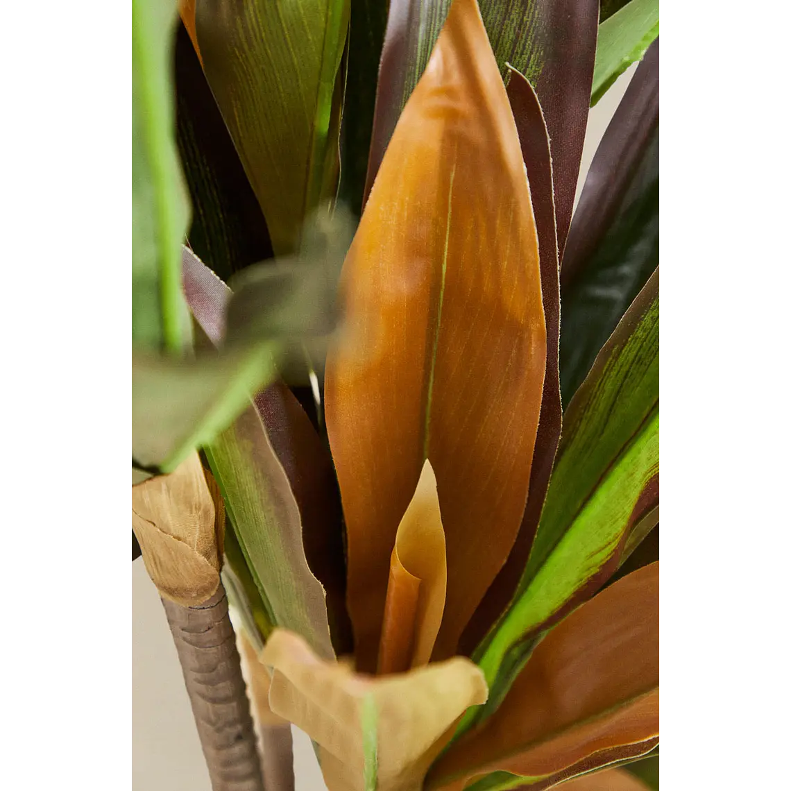Planta artificial decorativa Dracaena Halma 5
