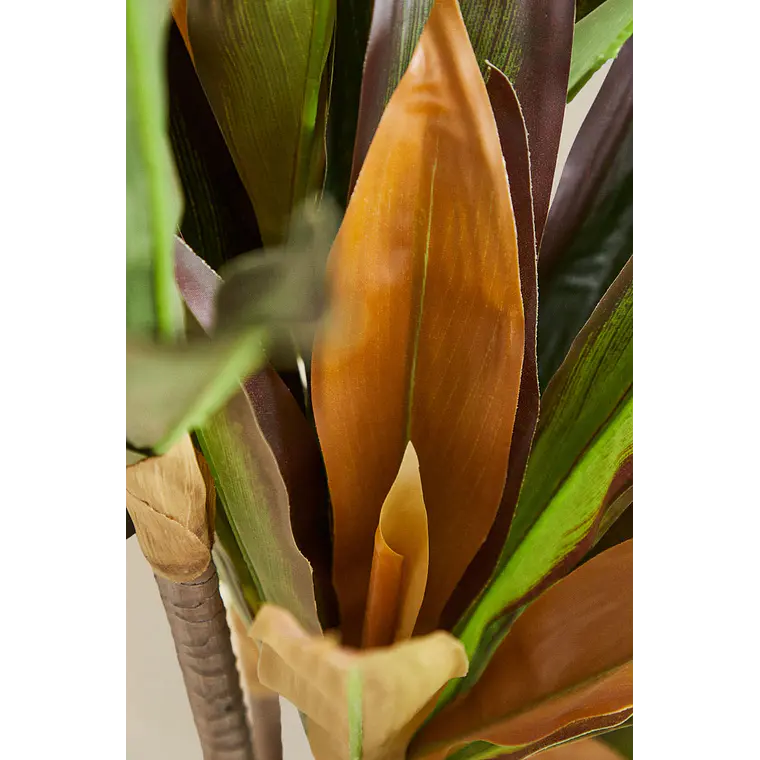 Planta artificial decorativa Dracaena Halma 5
