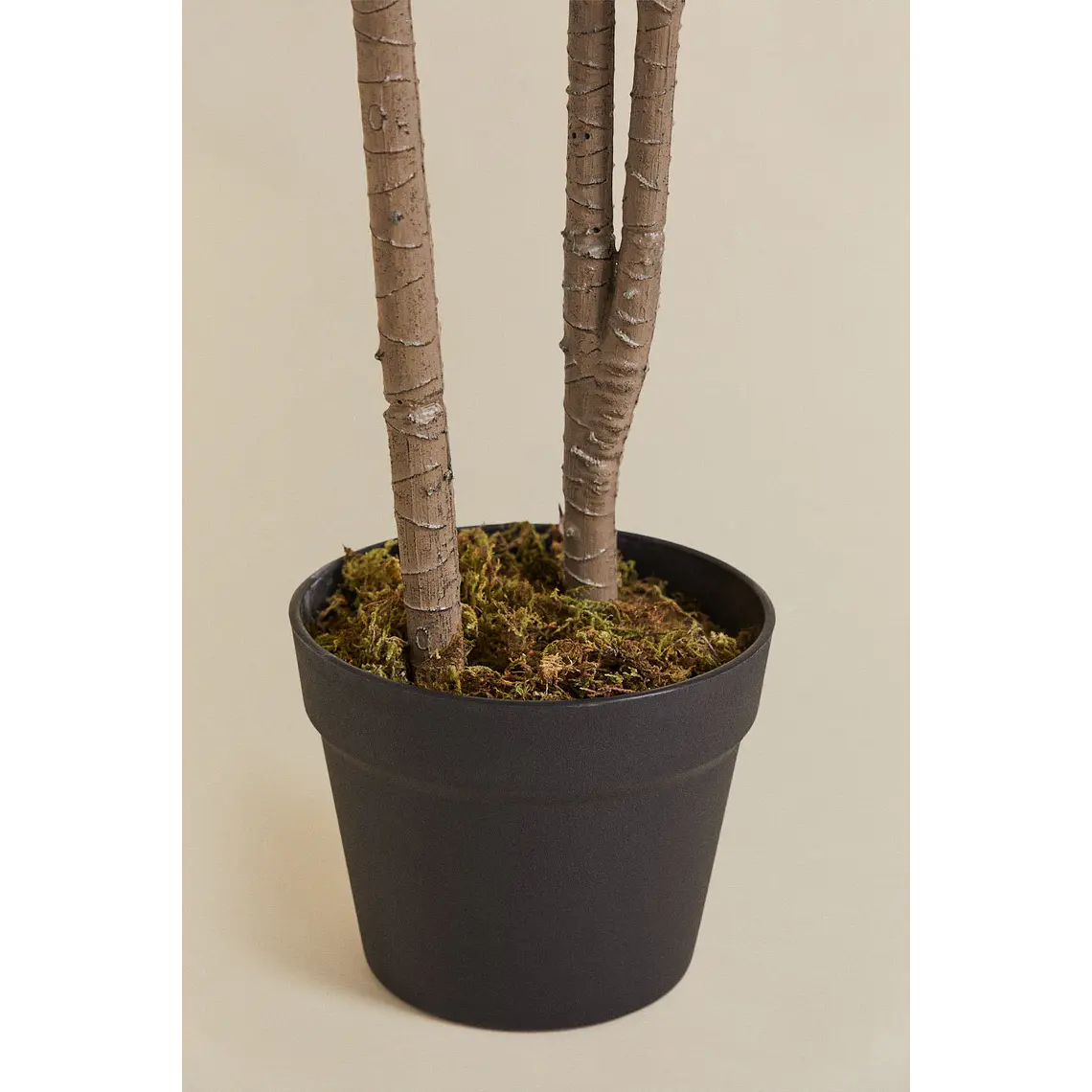 Planta artificial decorativa Dracaena Halma 6