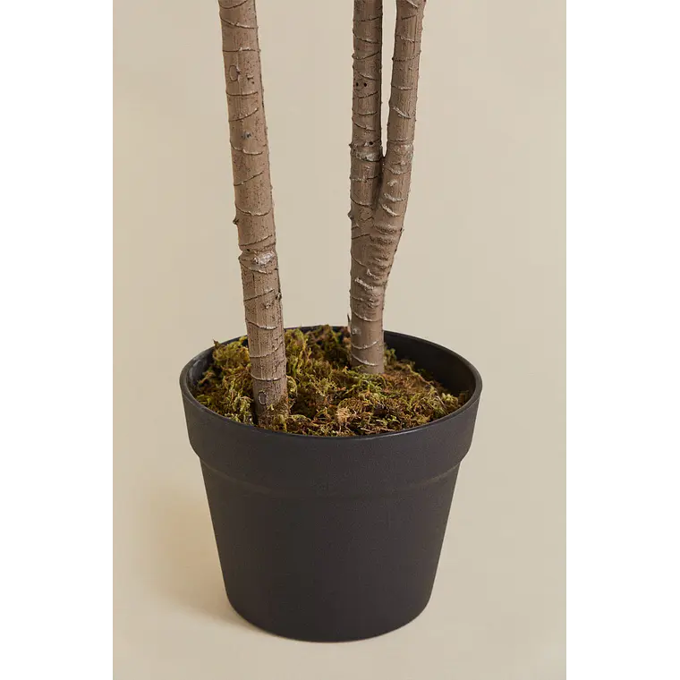 Planta artificial decorativa Dracaena Halma 6
