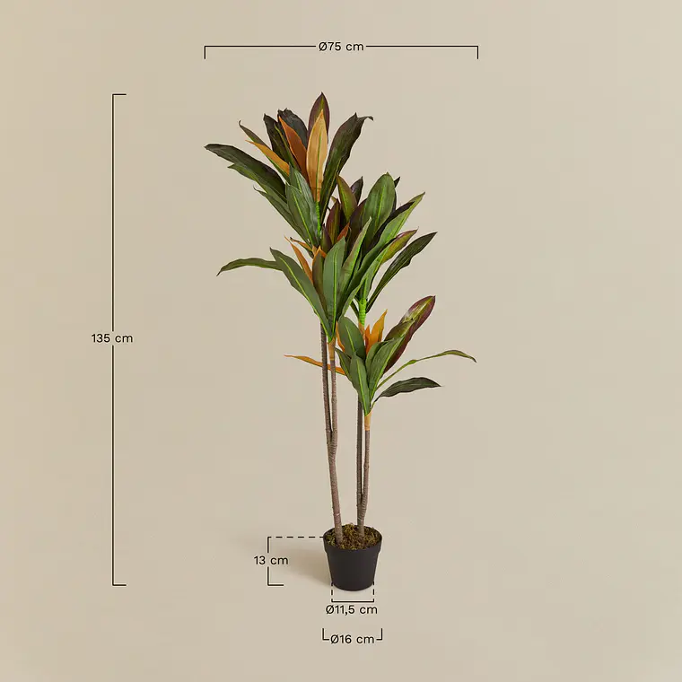 Planta artificial decorativa Dracaena Halma 7