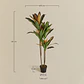 Planta artificial decorativa Dracaena Halma - Miniatura 7