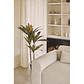 Planta artificial decorativa Dracaena Halma - Miniatura 8