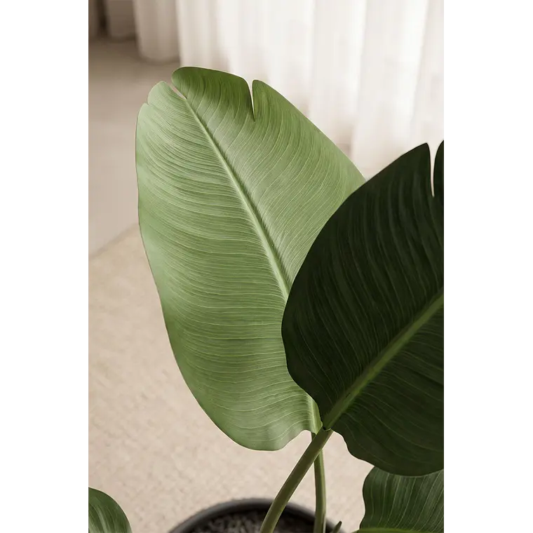 Planta artificial decorativa Strelitzia Iria 3