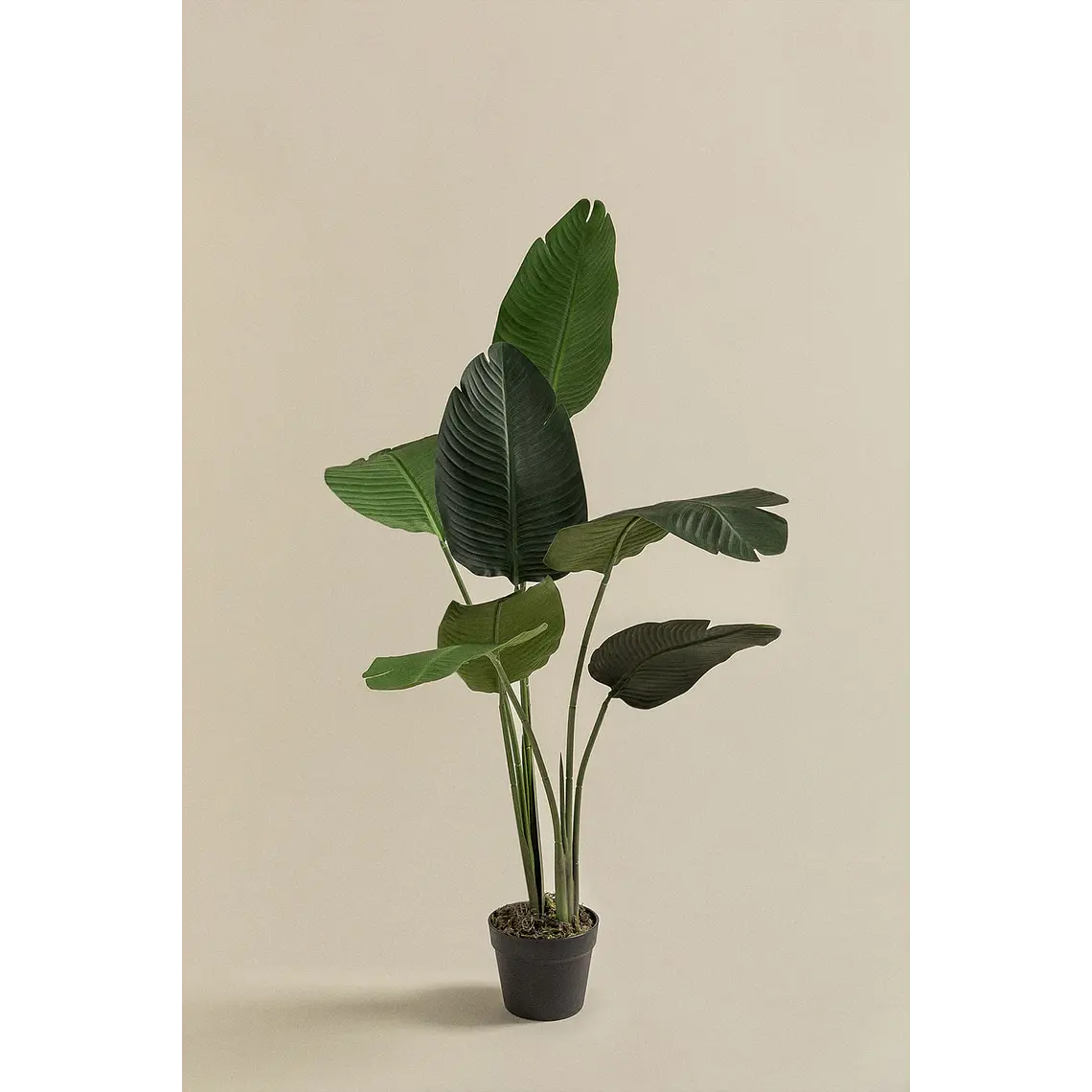 Planta artificial decorativa Strelitzia Iria 4