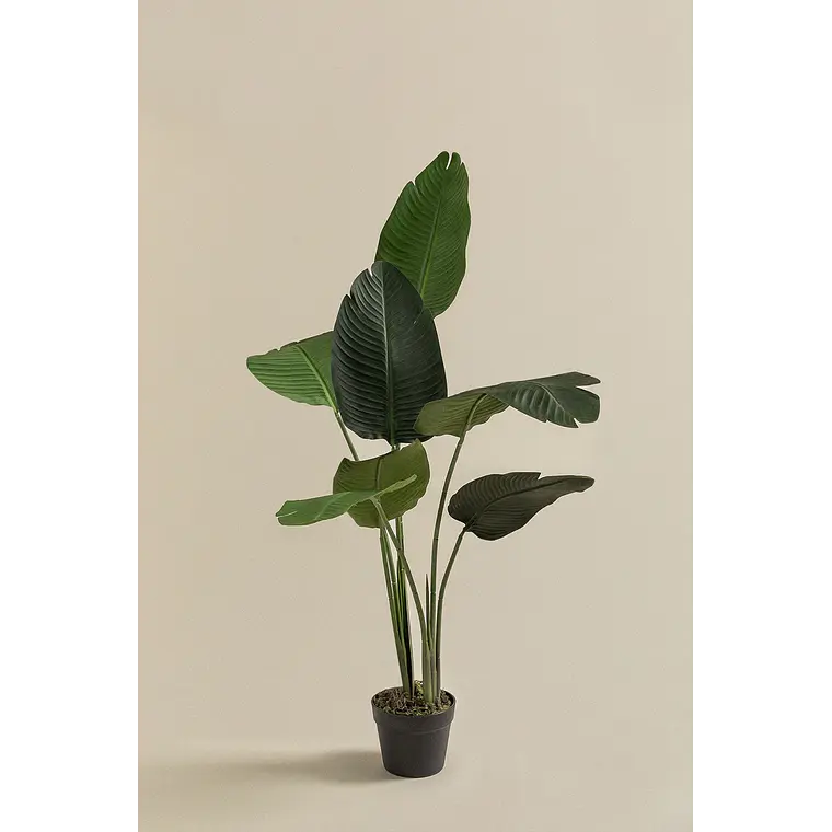 Planta artificial decorativa Strelitzia Iria 4