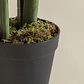 Planta artificial decorativa Strelitzia Iria - Miniatura 6