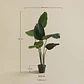 Planta artificial decorativa Strelitzia Iria - Miniatura 7