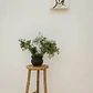 Soporte para plantas de jardín ↑70 cm en bambú Cera - Miniatura 1