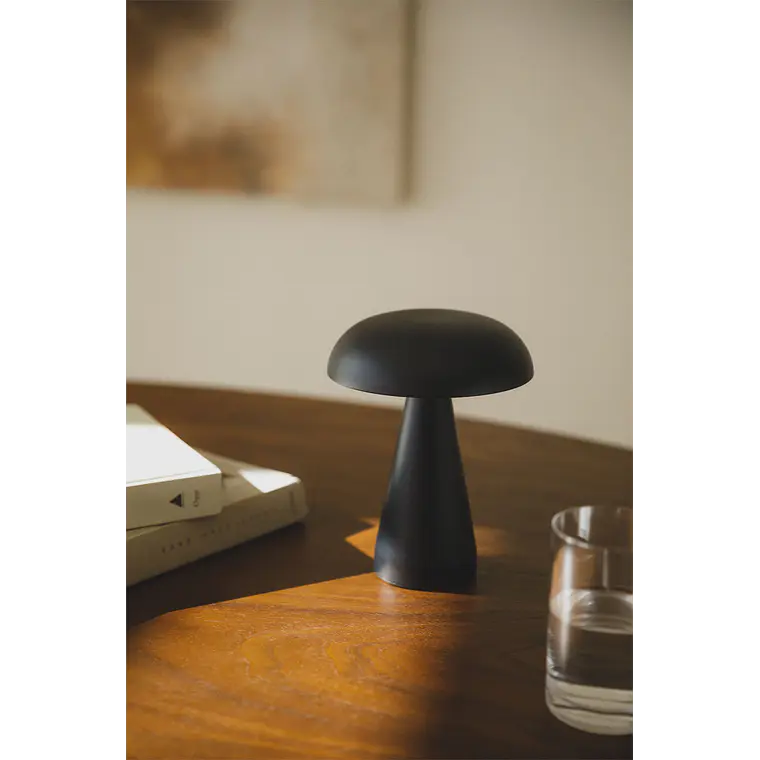 Lámpara de mesa ↑20 cm LED inalámbrica en hierro 9