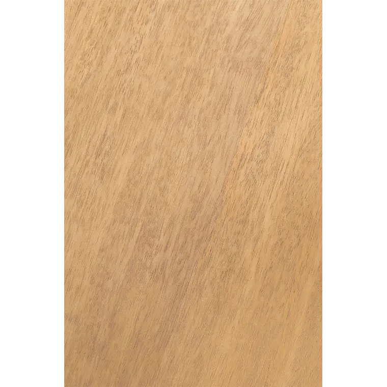 Aparador Taelora en madera de mango 8