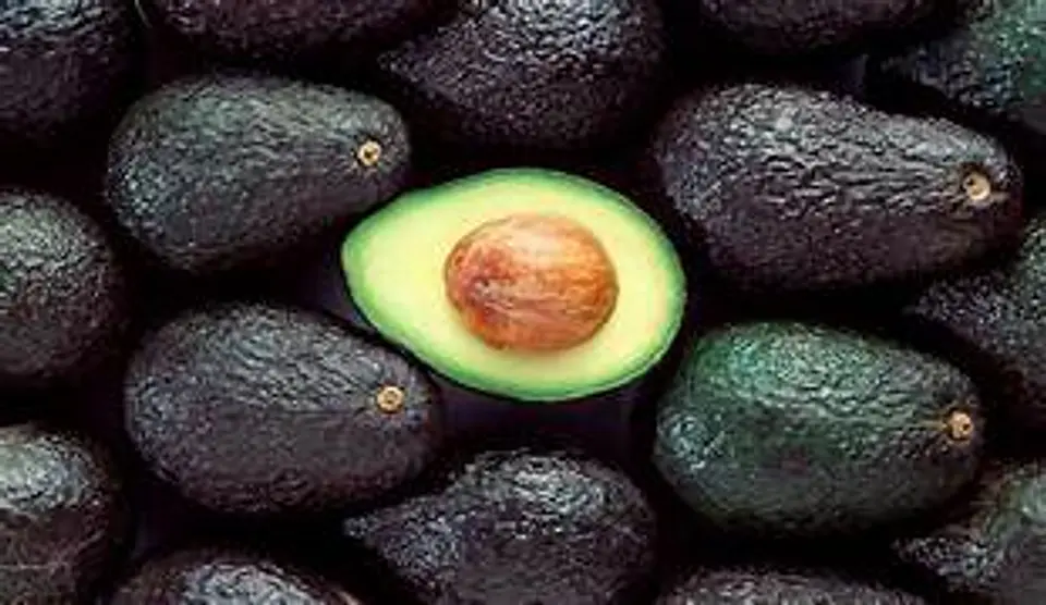 PALTA HASS KG 1