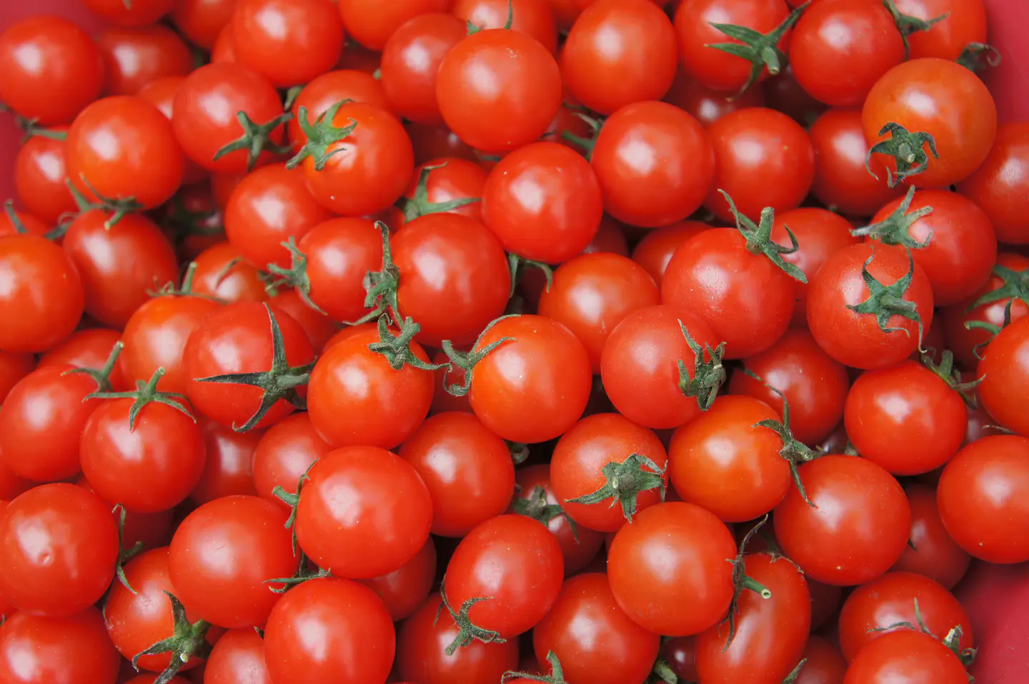TOMATE CHERRY KG  1