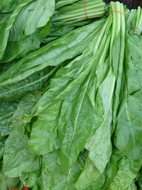 ESPINACA PAQUETE 